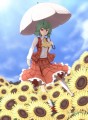 幽香さん/くしお（繁忙期）