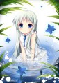 みつけた....めんま
