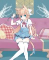 ふとももとニーソとねこみみの空間/mizuki