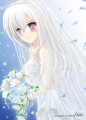 純白の花嫁/Hati