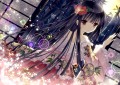 輝夜/ゆき餅