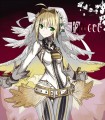 セイバー・ブライド/vane