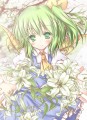 大ちゃんからの弾幕/蓮芽しい（バルク品）