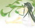 小清新肉块君/老兵自重