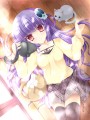 【冬コミ新作】ハクアとねこのブランケット/すいひ＠2日目･西れ-55b