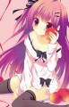 りんごしょうじょ。/桜のはいったはんぺん