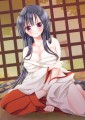 巫女さん/多忙な五元