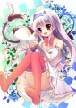 みう先輩とぱんにゃ/白森ゆせ