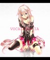 IA/和紙