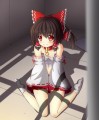 捕らわ霊夢/しぇふ