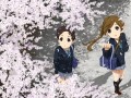 桜花爛漫