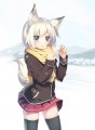 雪狐（修）/玉藻後