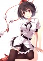 文さん/ファルまろ