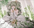 Garden/ひし