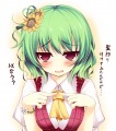 その髪飾りは似合うのか/草月　野々乃@例大祭H26b