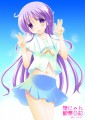 瑞穂坂の美少女3イラスト本/たまかけ