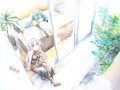 ネギトロ本11冊目/麻岡