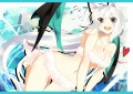 白髪ニャン/んまぁ～