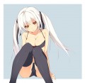 白髪ツインテール/玉藻後
