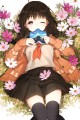 コスモス/SALT