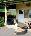 100円落とした！