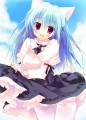しろねこちゃん/天凪青磁／東ヌ52a