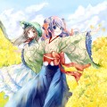 菜の花畑/あきのん