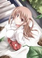 憧ちゃん家の手伝い/ミスター