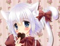 白猫バレンタイン/たまかけ
