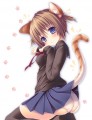 ねこみみ娘/konomi★みみけ:う05