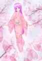 桜、咲きましたね。