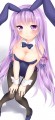 恥ずかしbunny