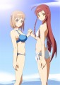 夏ですね