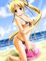 シンシアさん