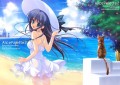 C84　「猫と少女の夏」