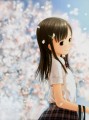 桜/国道12号