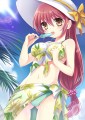 c84新刊