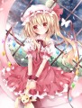 フランちゃん