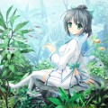 Aquester パッケージ版