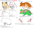 ハムスターの描き方研究