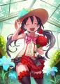 矢澤にこ