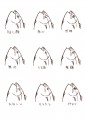表情