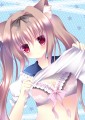 １回だけね？