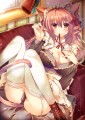 猫耳メイド　新米ちゃん