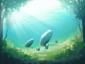 水中の世界
