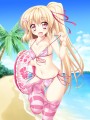 フランちゃんのばかんす