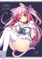 c88表紙