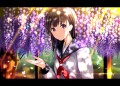 藤の木漏れ日