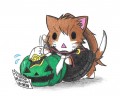 カボチャ提督と文月ネコ