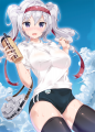 ブルかしま